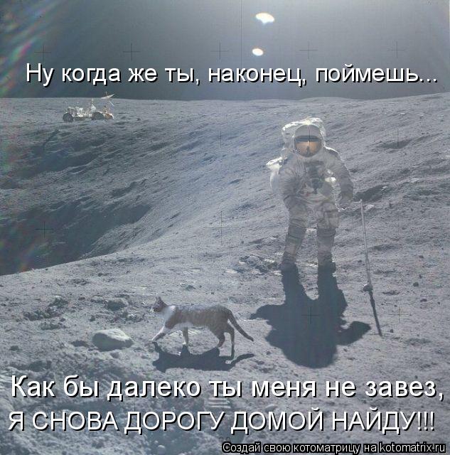 Ну когда же ты, наконец, поймешь... Как бы далеко ты меня не завез, Я СНОВА ДОРОГУ ДОМОЙ НАЙДУ!!!... Котоматрица: Ну когда же ты, наконец, поймешь... Как бы далеко ты меня не завез, Я СНОВА ДОРОГУ ДОМОЙ НАЙДУ!!!