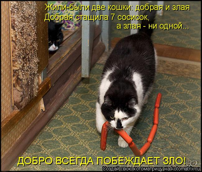 Жили-были две кошки: добрая и злая Добрая стащила 7 сосисок, а злая - ни одной... ДОБРО ВСЕГДА ПОБЕЖД... Котоматрица: Жили-были две кошки: добрая и злая Добрая стащила 7 сосисок, а злая - ни одной... ДОБРО ВСЕГДА ПОБЕЖДАЕТ ЗЛО!