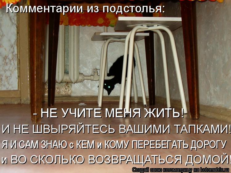 Котоматрица: Комментарии из подстолья:  и ВО СКОЛЬКО ВОЗВРАЩАТЬСЯ ДОМОЙ! Я И САМ ЗНАЮ с КЕМ и КОМУ ПЕРЕБЕГАТЬ ДОРОГУ И НЕ ШВЫРЯЙТЕСЬ ВАШИМИ ТАПКАМИ! - НЕ У