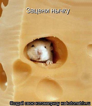 Зацени нычку... Котоматрица: Зацени нычку