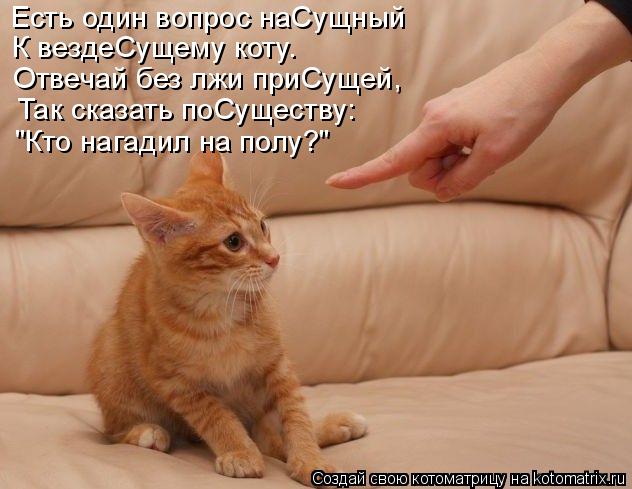 Котоматрица: Есть один вопрос наСущный К вездеСущему коту. Отвечай без лжи приСущей, Так сказать поСуществу: "Кто нагадил на полу?"