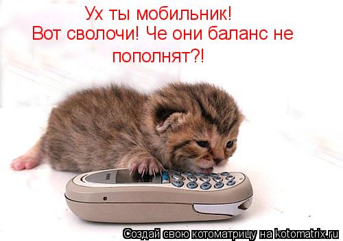 Ух ты мобильник! Вот сволочи! Че они баланс не пополнят?!... Котоматрица: Ух ты мобильник! Вот сволочи! Че они баланс не пополнят?!