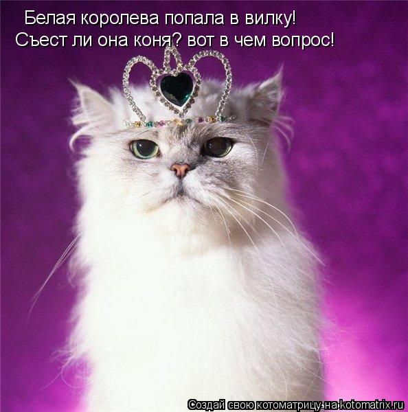 Котоматрица: Белая королева попала в вилку!  Съест ли она коня? вот в чем вопрос!