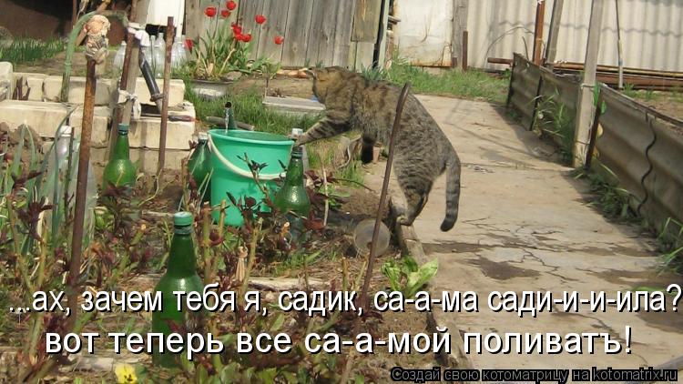 ...ах, зачем тебя я, садик, са-а-ма сади-и-и-ила? ... вот теперь все са-а-мой поливатъ!... Котоматрица: ...ах, зачем тебя я, садик, са-а-ма сади-и-и-ила? ... вот теперь все са-а-мой поливатъ!