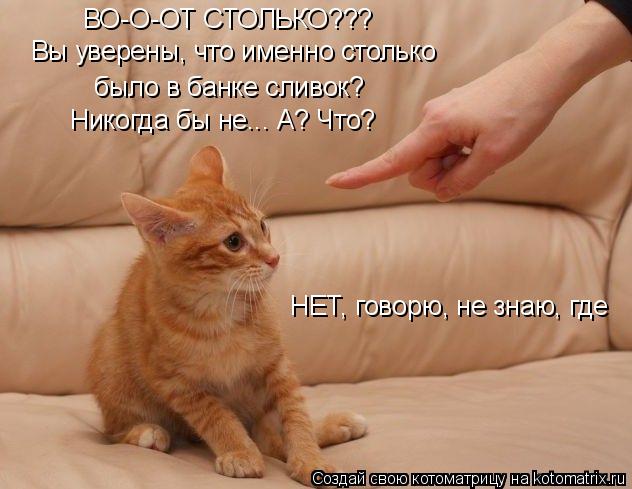Вы уверены, что именно столько ВО-О-ОТ СТОЛЬКО??? было в банке сливок? Никогда бы не... А? Что? НЕТ, ... Котоматрица: Вы уверены, что именно столько ВО-О-ОТ СТОЛЬКО??? было в банке сливок? Никогда бы не... А? Что? НЕТ, говорю, не знаю, где