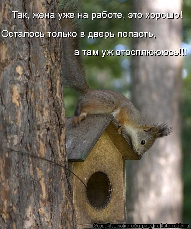 Так, жена уже на работе, это хорошо! Осталось только в дверь попасть, а там уж отосплюююсь!!!... Котоматрица: Так, жена уже на работе, это хорошо! Осталось только в дверь попасть, а там уж отосплюююсь!!!