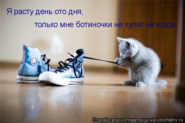 Я расту день ото дня, только мне ботиночки не купят ни когда.... Котоматрица: Я расту день ото дня, только мне ботиночки не купят ни когда.