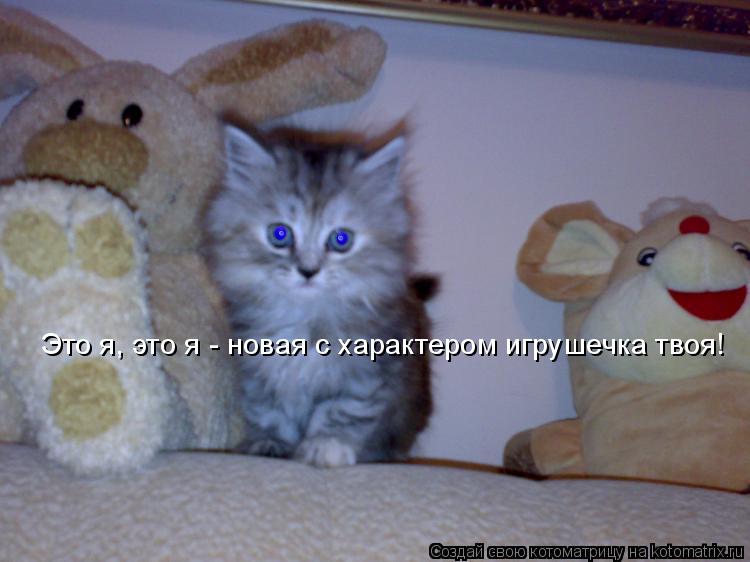 Котоматрица: Это я, это я - новая с характером игрушечка твоя!