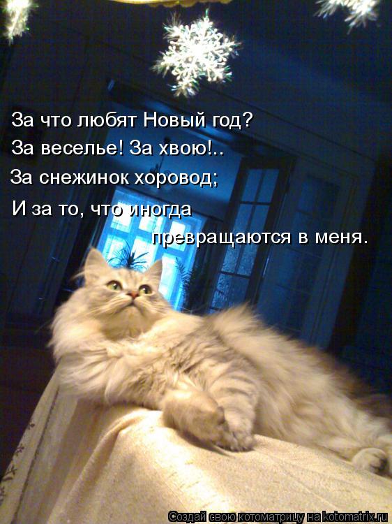 Котоматрица: За что любят Новый год? За веселье! За хвою!.. За снежинок хоровод; И за то, что иногда  превращаются в меня.