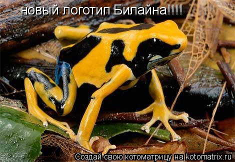 новый логотип Билайна!!!!... Котоматрица: новый логотип Билайна!!!!