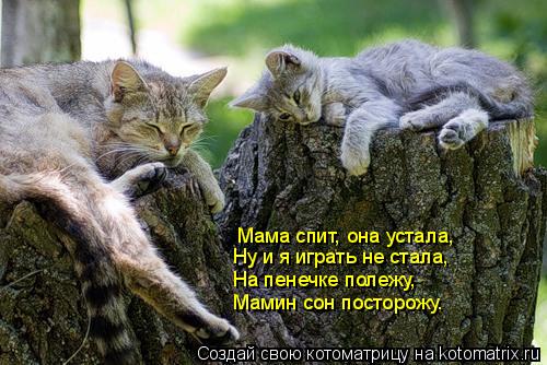 Мама спит, она устала, Ну и я играть не стала, На пенечке полежу, Мамин сон посторожу.... Котоматрица: Мама спит, она устала, Ну и я играть не стала, На пенечке полежу, Мамин сон посторожу.