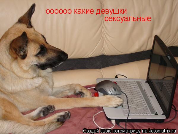 оооооо какие девушки сексуальные... Котоматрица: оооооо какие девушки сексуальные