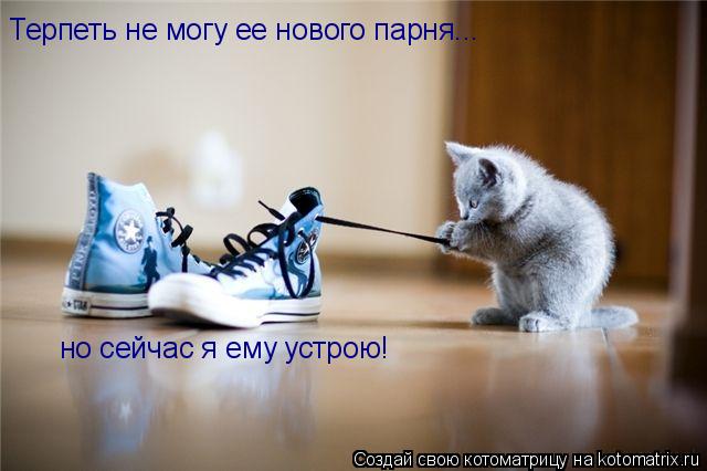 Терпеть не могу ее нового парня... но сейчас я ему устрою!... Котоматрица: Терпеть не могу ее нового парня... но сейчас я ему устрою!