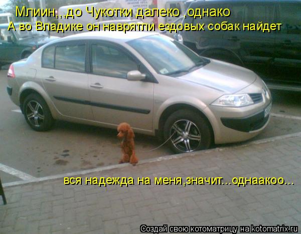 Млиин,,,до Чукотки далеко ,однако А во Владике он наврятли ездовых собак найдет вся надежда на меня,з... Котоматрица: Млиин,,,до Чукотки далеко ,однако А во Владике он наврятли ездовых собак найдет вся надежда на меня,значит...однаакоо...