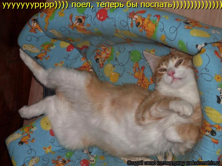 ууууууурррр)))) поел, теперь бы поспать))))))))))))))... Котоматрица: ууууууурррр)))) поел, теперь бы поспать))))))))))))))
