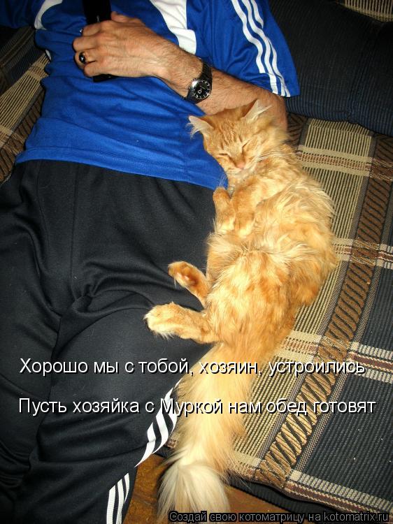 Хорошо мы с тобой, хозяин, устроились Пусть хозяйка с Муркой нам обед готовят... Котоматрица: Хорошо мы с тобой, хозяин, устроились Пусть хозяйка с Муркой нам обед готовят