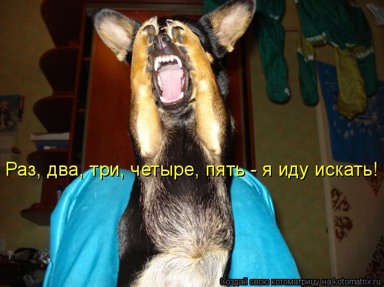 Раз, два, три, четыре, пять - я иду искать!... Котоматрица: Раз, два, три, четыре, пять - я иду искать!