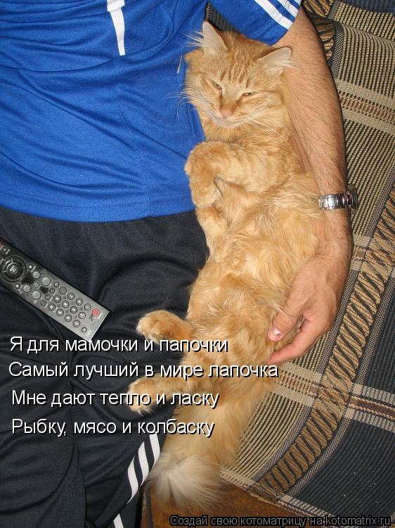 Я для мамочки и папочки Самый лучший в мире лапочка Мне дают тепло и ласку Рыбку, мясо и колбаску... Котоматрица: Я для мамочки и папочки Самый лучший в мире лапочка Мне дают тепло и ласку Рыбку, мясо и колбаску