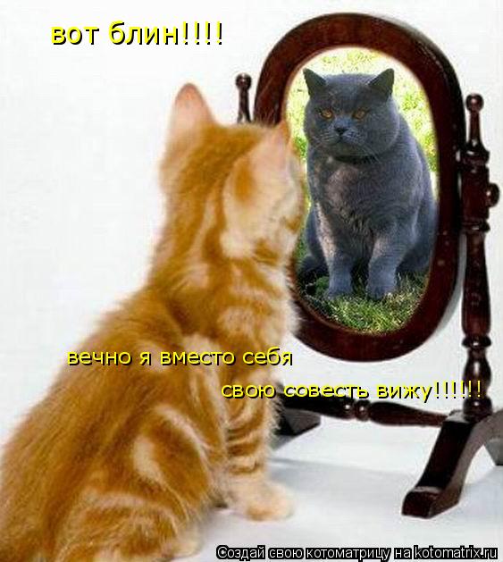 вот блин!!!! вечно я вместо себя свою совесть вижу!!!!!!... Котоматрица: вот блин!!!! вечно я вместо себя свою совесть вижу!!!!!!