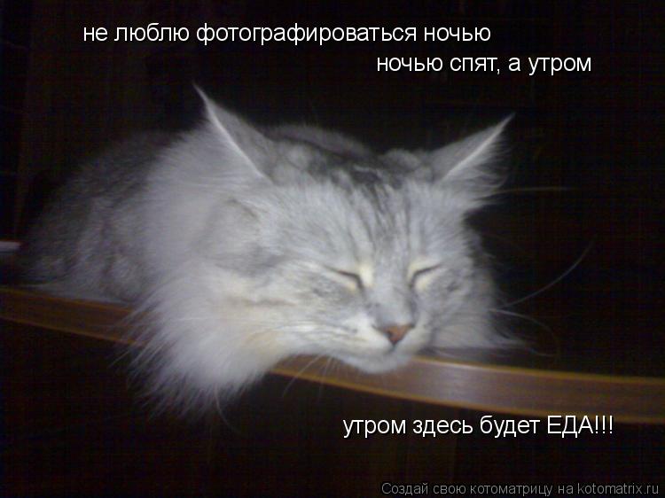 не люблю фотографироваться ночью ночью спят, а утром утром здесь будет ЕДА!!! утром здесь будет ЕДА!!... Котоматрица: не люблю фотографироваться ночью ночью спят, а утром утром здесь будет ЕДА!!! утром здесь будет ЕДА!!! утром здесь будет ЕДА!!!