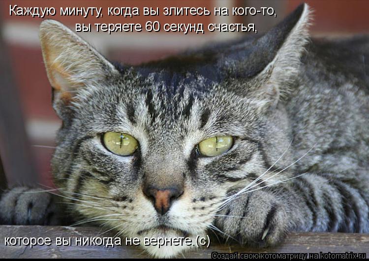 Каждую минуту, когда вы злитесь на кого-то, вы теряете 60 секунд счастья, которое вы никогда не верне... Котоматрица: Каждую минуту, когда вы злитесь на кого-то, вы теряете 60 секунд счастья, которое вы никогда не вернете.(с)