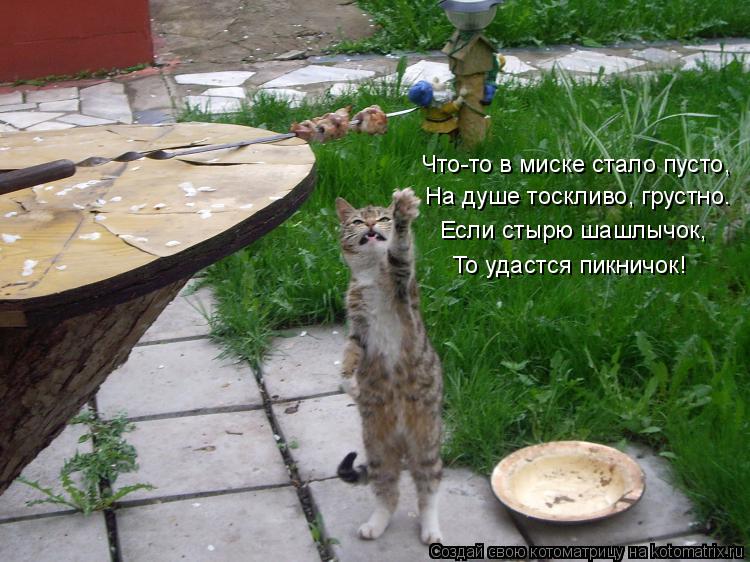 Что-то в миске стало пусто, На душе тоскливо, грустно… Если стырю шашлычок, То удастся пикничок!... Котоматрица: Что-то в миске стало пусто, На душе тоскливо, грустно… Если стырю шашлычок, То удастся пикничок!