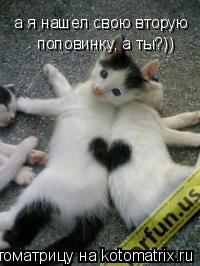 а я нашел свою вторую половинку, а ты?))... Котоматрица: а я нашел свою вторую половинку, а ты?))