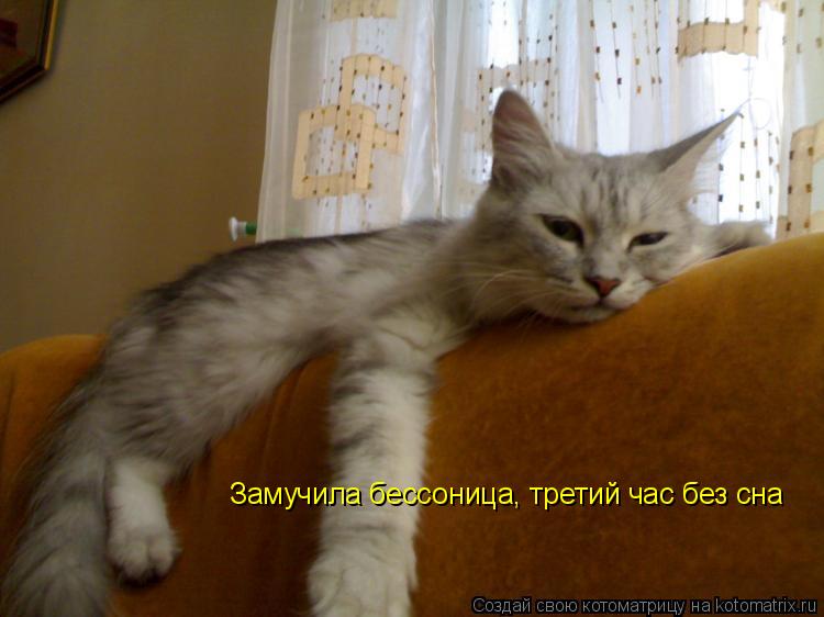 Замучила бессоница, третий час без сна... Котоматрица: Замучила бессоница, третий час без сна