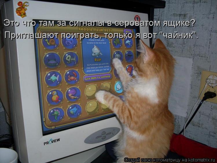 Это что там за сигналы в сероватом ящике? Приглашают поиграть, только я вот "чайник".... Котоматрица: Это что там за сигналы в сероватом ящике? Приглашают поиграть, только я вот "чайник".