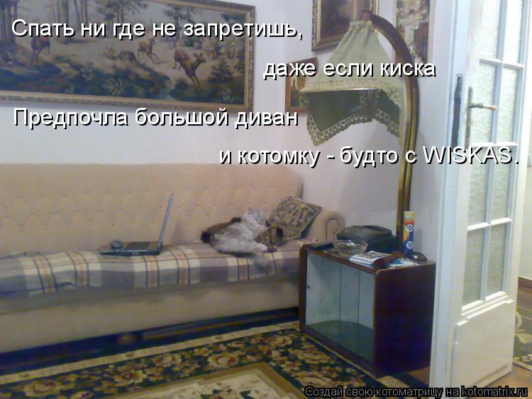 Спать ни где не запретишь, даже если киска Предпочла большой диван и котомку - будто с WISKAS.... Котоматрица: Спать ни где не запретишь, даже если киска Предпочла большой диван и котомку - будто с WISKAS.