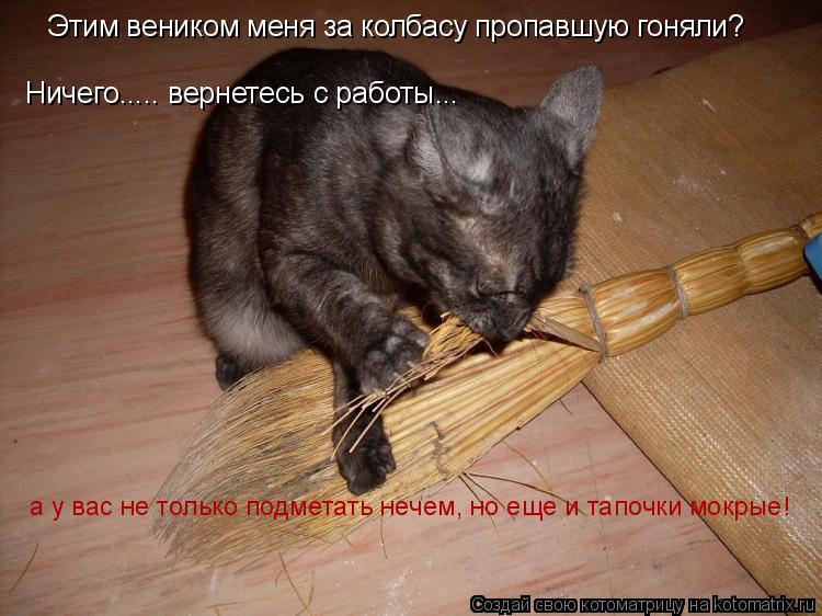 Котоматрица: Этим веником меня за колбасу пропавшую гоняли? Ничего..... вернетесь с работы... а у вас не только подметать нечем, но еще и тапочки мокрые!