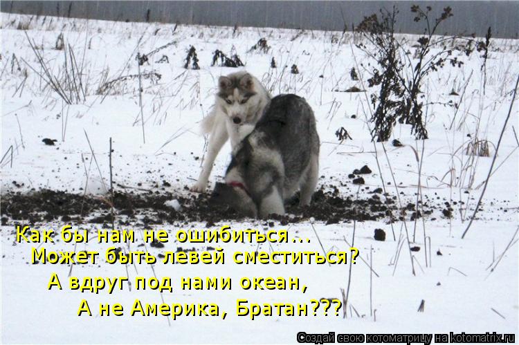 Как бы нам не ошибиться... Может быть левей сместиться? А вдруг под нами океан, А не Америка, Братан?... Котоматрица: Как бы нам не ошибиться... Может быть левей сместиться? А вдруг под нами океан, А не Америка, Братан???