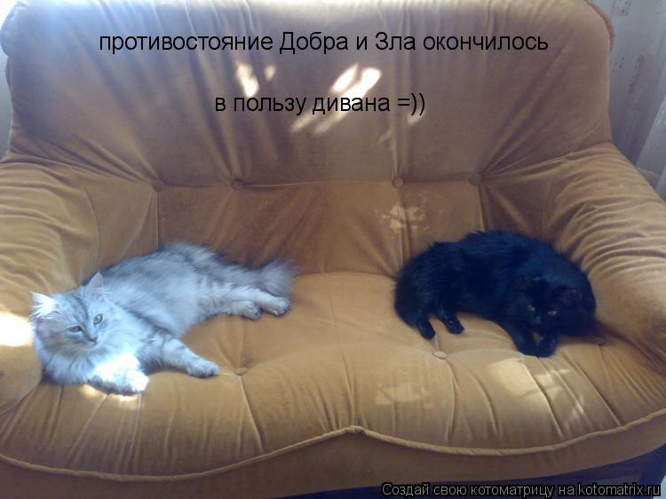 Котоматрица: противостояние Добра и Зла окончилось   в пользу дивана =))
