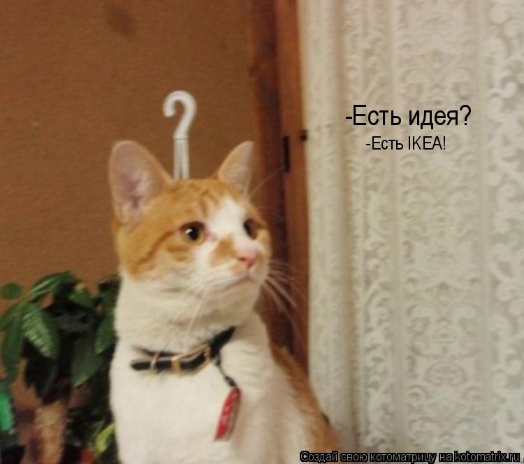 Котоматрица: -Есть идея? -Есть IKEA!