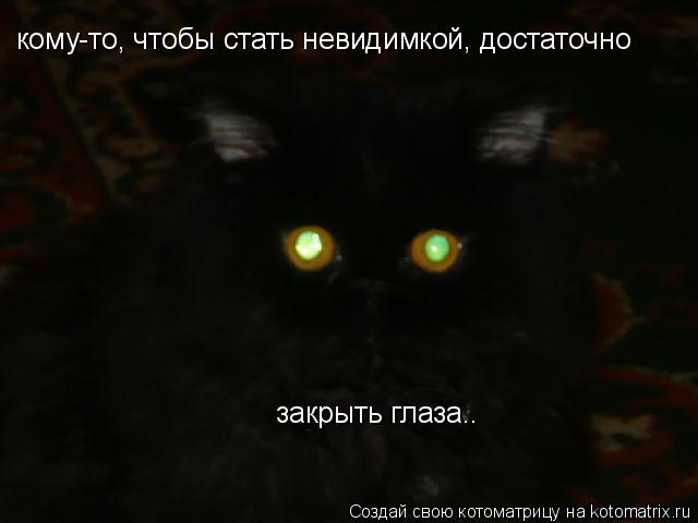 Котоматрица: кому-то, чтобы стать невидимкой, достаточно  закрыть глаза..