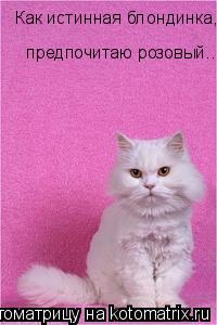 Котоматрица: Как истинная блондинка,  предпочитаю розовый..