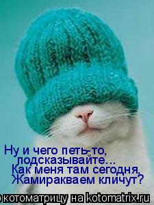 Котоматрица: Ну и чего петь-то,  подсказывайте... Как меня там сегодня, Жамиракваем кличут?