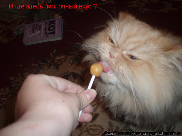 Котоматрица: И где здесь "молочный вкус"?