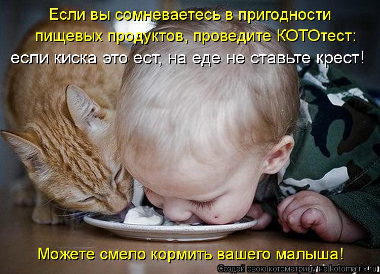 Котоматрица: Если вы сомневаетесь в пригодности  пищевых продуктов, проведите КОТОтест:  если киска это ест, на еде не ставьте крест!  Можете смело кормит