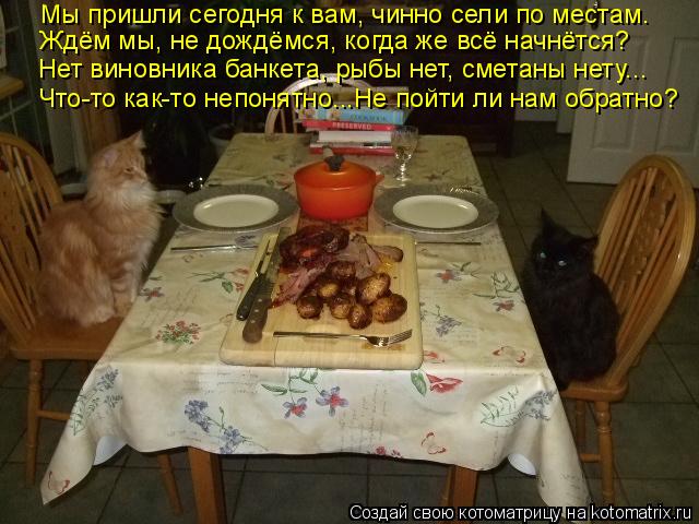 Мы пришли сегодня к вам, чинно сели по местам. Ждём мы, не дождёмся, когда же всё начнётся? Нет винов... Котоматрица: Мы пришли сегодня к вам, чинно сели по местам. Ждём мы, не дождёмся, когда же всё начнётся? Нет виновника банкета, рыбы нет, сметаны нету... Что-