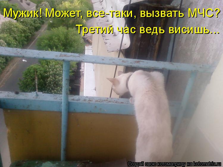 Мужик! Может, все-таки, вызвать МЧС? Третий час ведь висишь...... Котоматрица: Мужик! Может, все-таки, вызвать МЧС? Третий час ведь висишь...