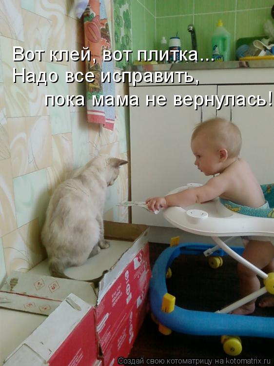 Вот клей, вот плитка... Надо все исправить, пока мама не вернулась!... Котоматрица: Вот клей, вот плитка... Надо все исправить, пока мама не вернулась!