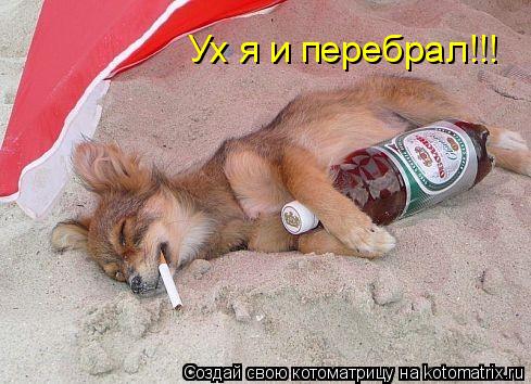 Котоматрица: Ух я и перебрал!!!