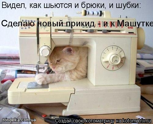 Котоматрица: Видел, как шьются и брюки, и шубки: Сделаю новый прикид - и к Машутке.