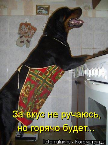 Котоматрица: За вкус не ручаюсь,  но горячо будет...