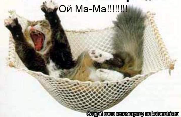 Котоматрица: Ой Ма-Ма!!!!!!!!