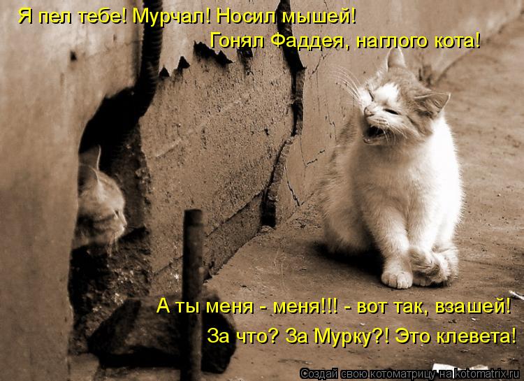 Котоматрица: Я пел тебе! Мурчал! Носил мышей! А ты меня - меня!!! - вот так, взашей! За что? За Мурку?! Это клевета! Гонял Фаддея, наглого кота!