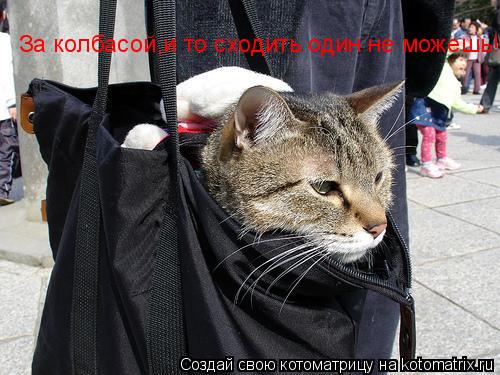 Котоматрица: За колбасой,и то сходить один не можешь!