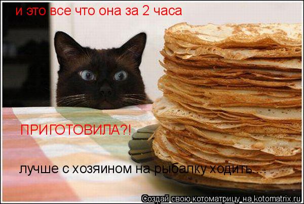 Котоматрица: и это все что она за 2 часа  ПРИГОТОВИЛА?!  лучше с хозяином на рыбалку ходить....