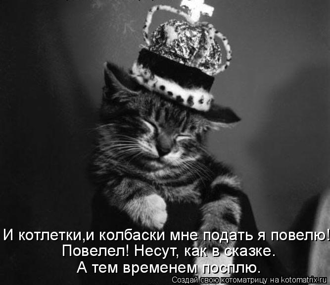 Котоматрица: Повелел! Несут, как в сказке.  И котлетки,и колбаски мне подать я повелю! А тем временем посплю.